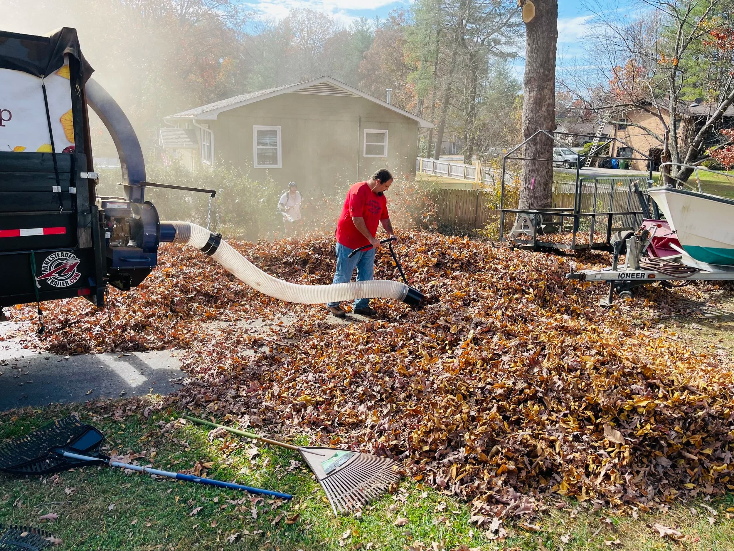 Leaf Removal in Clearwater