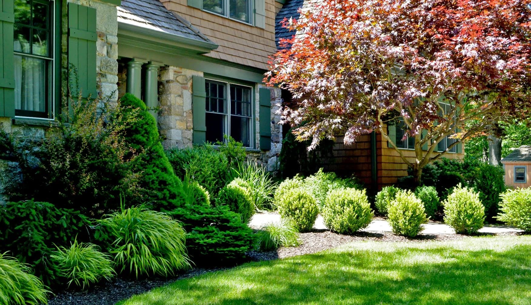 Tree & Shrub Planting Services in Clearwater, FL